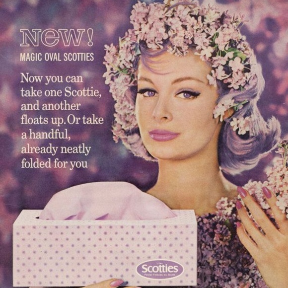 PURPLES - Picture 5 of 5